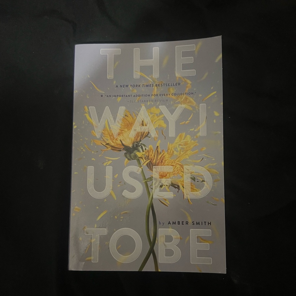 The Way I Used to Be by Amber Smith